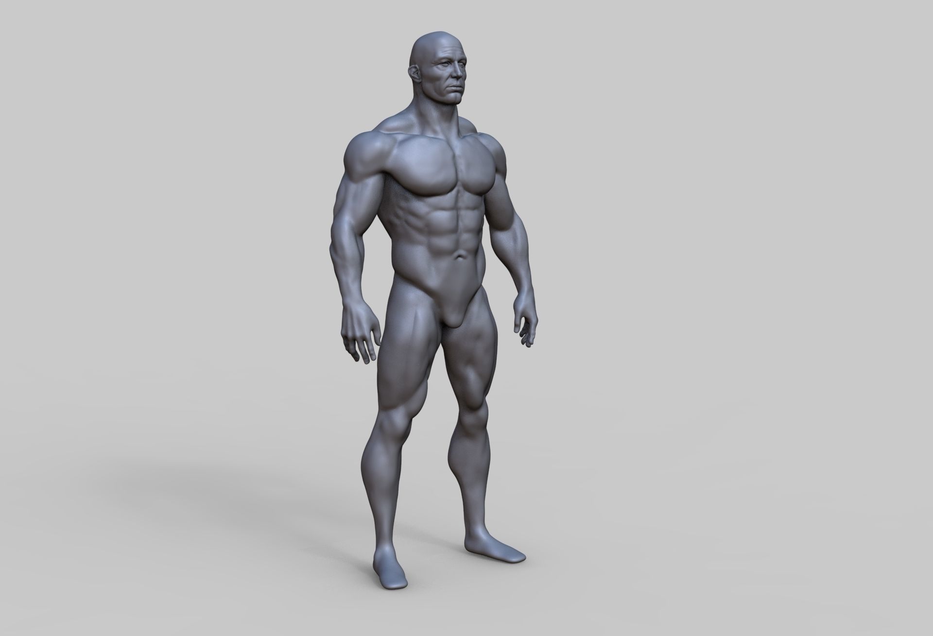 Human Anatomy Character 3D model Low-poly 3D model_2