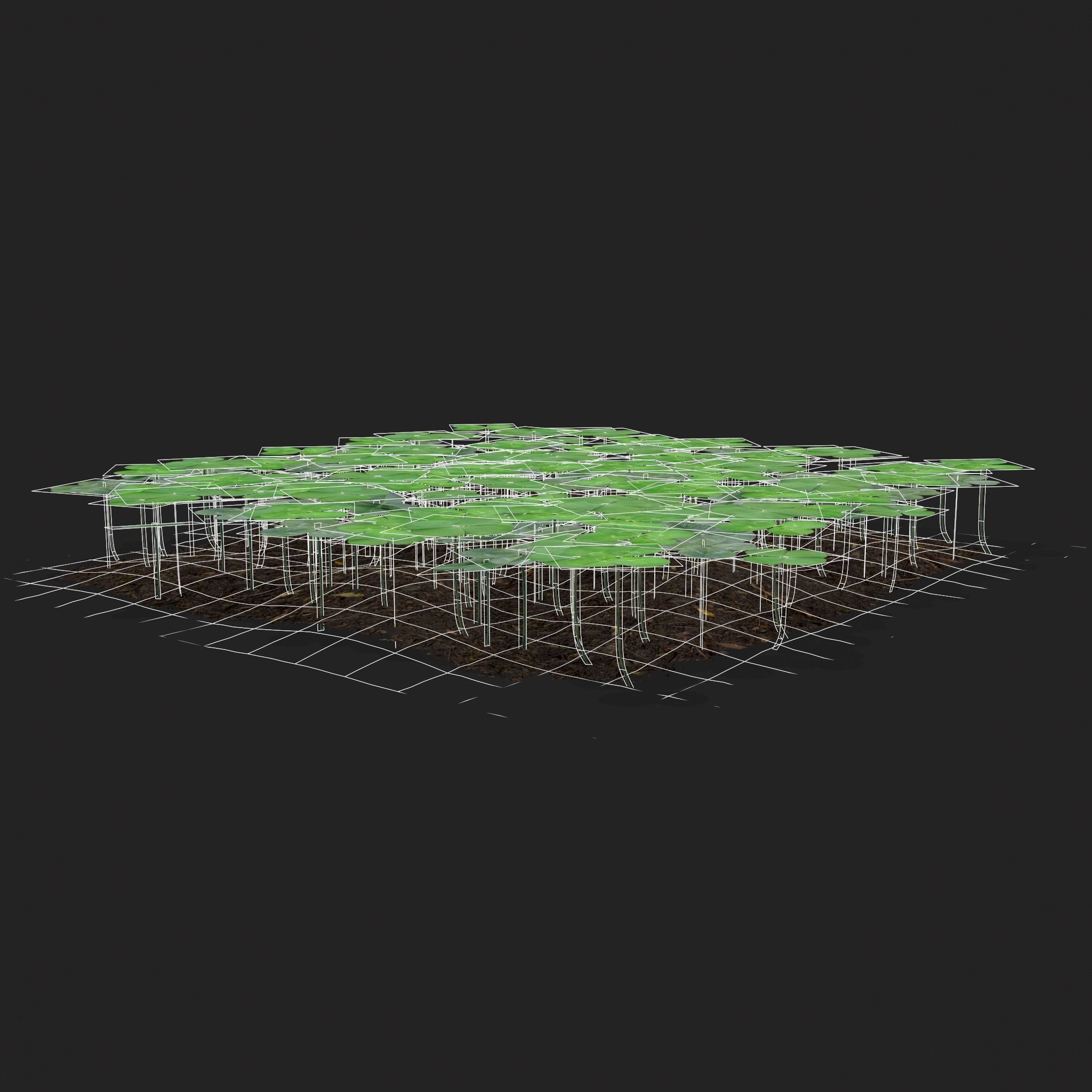 Four Leaf Clover Patch Low-poly 3D model_8