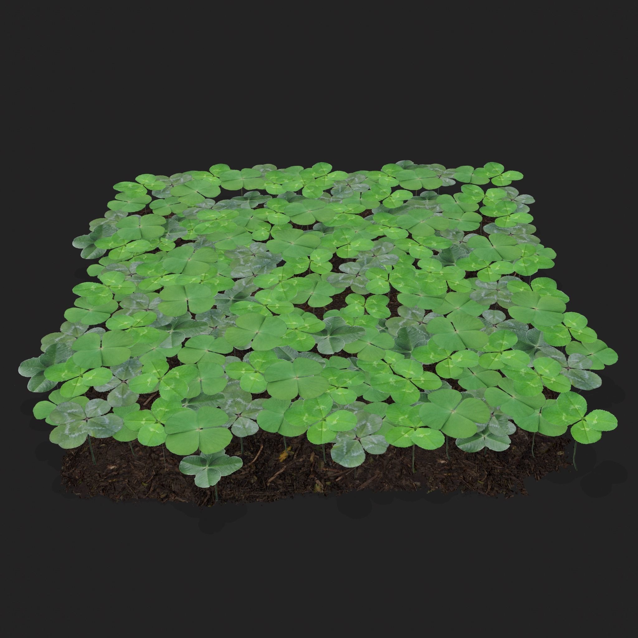 Four Leaf Clover Patch Low-poly 3D model_19