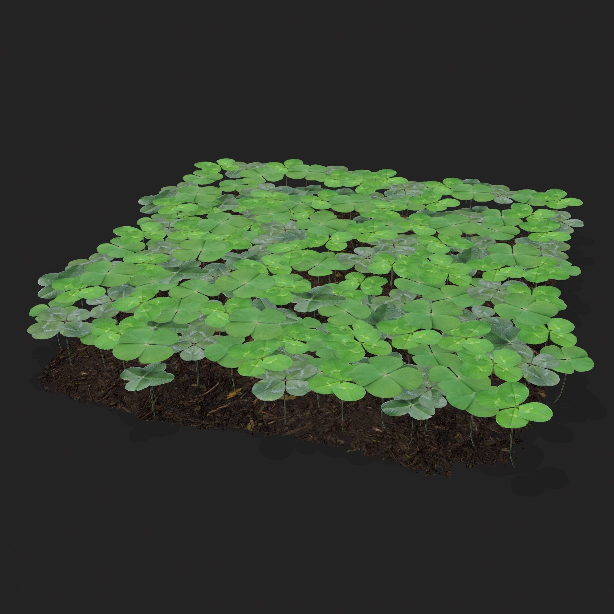 Four Leaf Clover Patch Low-poly 3D model_17