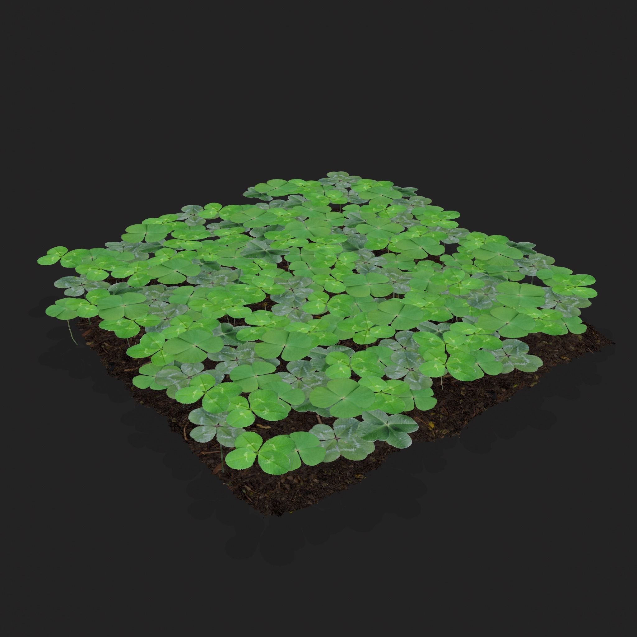 Four Leaf Clover Patch Low-poly 3D model_9