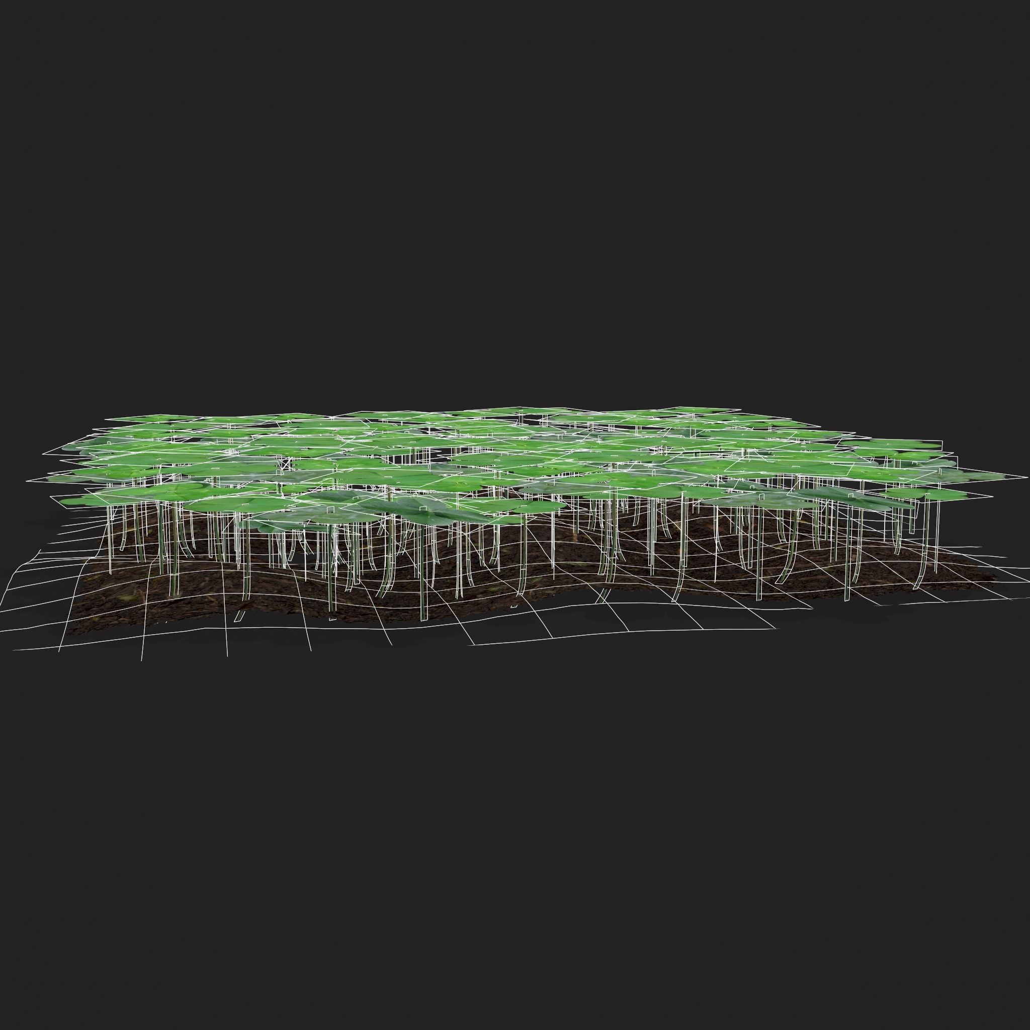 Four Leaf Clover Patch Low-poly 3D model_16