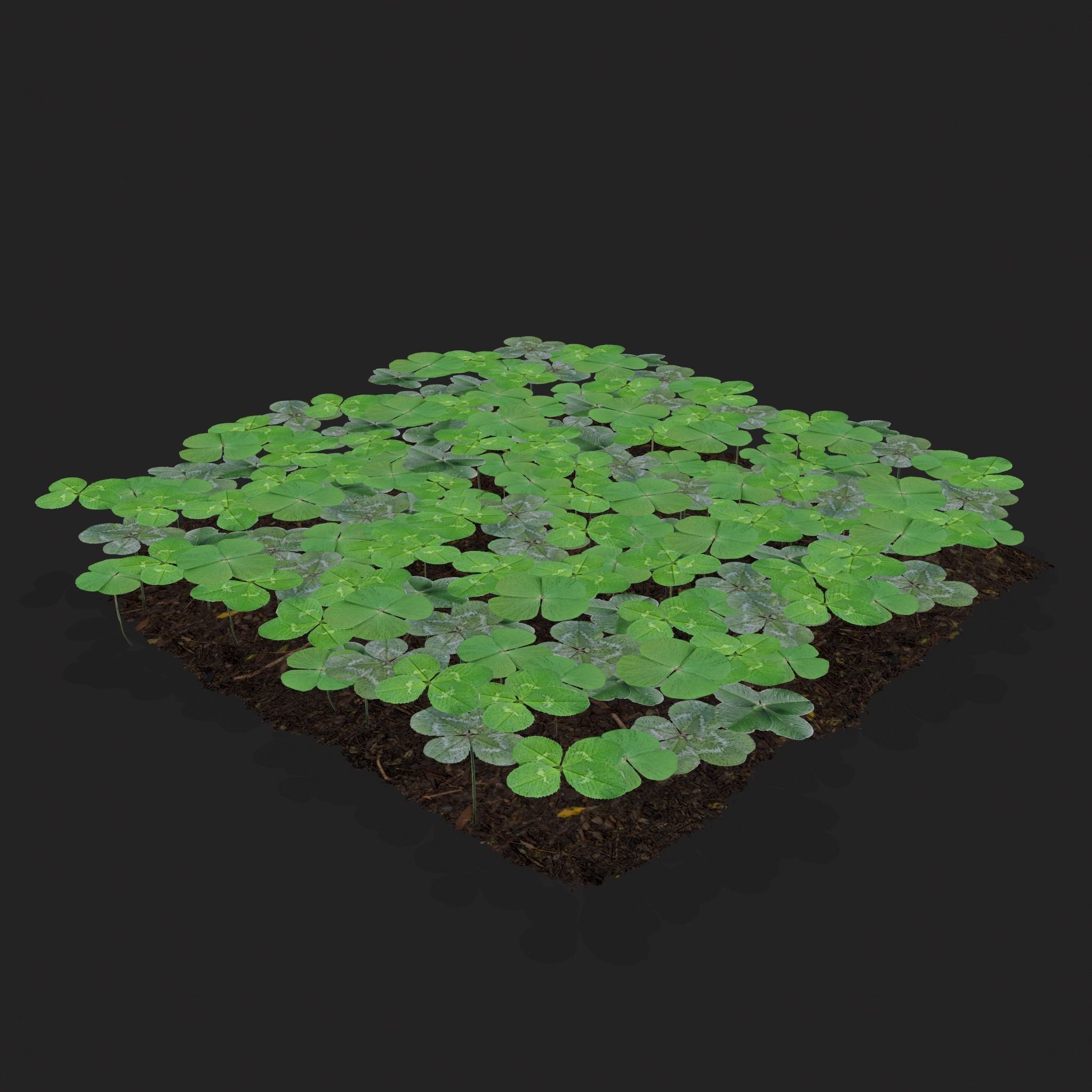 Four Leaf Clover Patch Low-poly 3D model_3