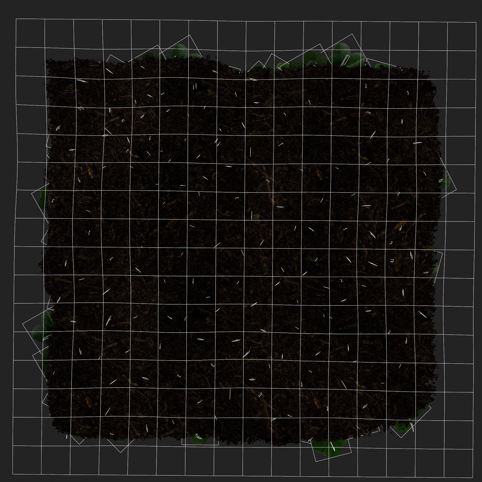 Four Leaf Clover Patch Low-poly 3D model_14