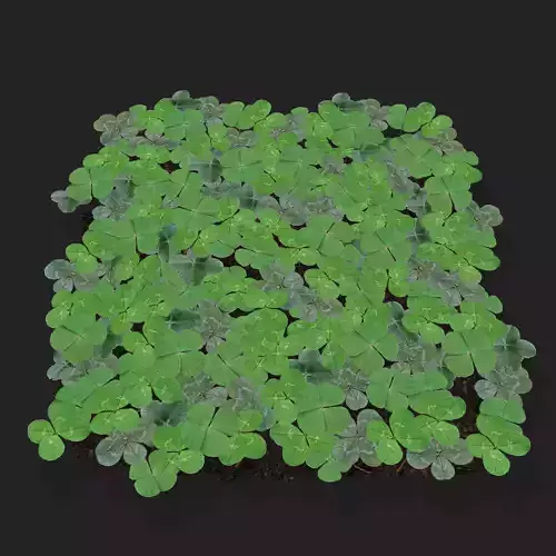 Four Leaf Clover Patch Low-poly 3D model