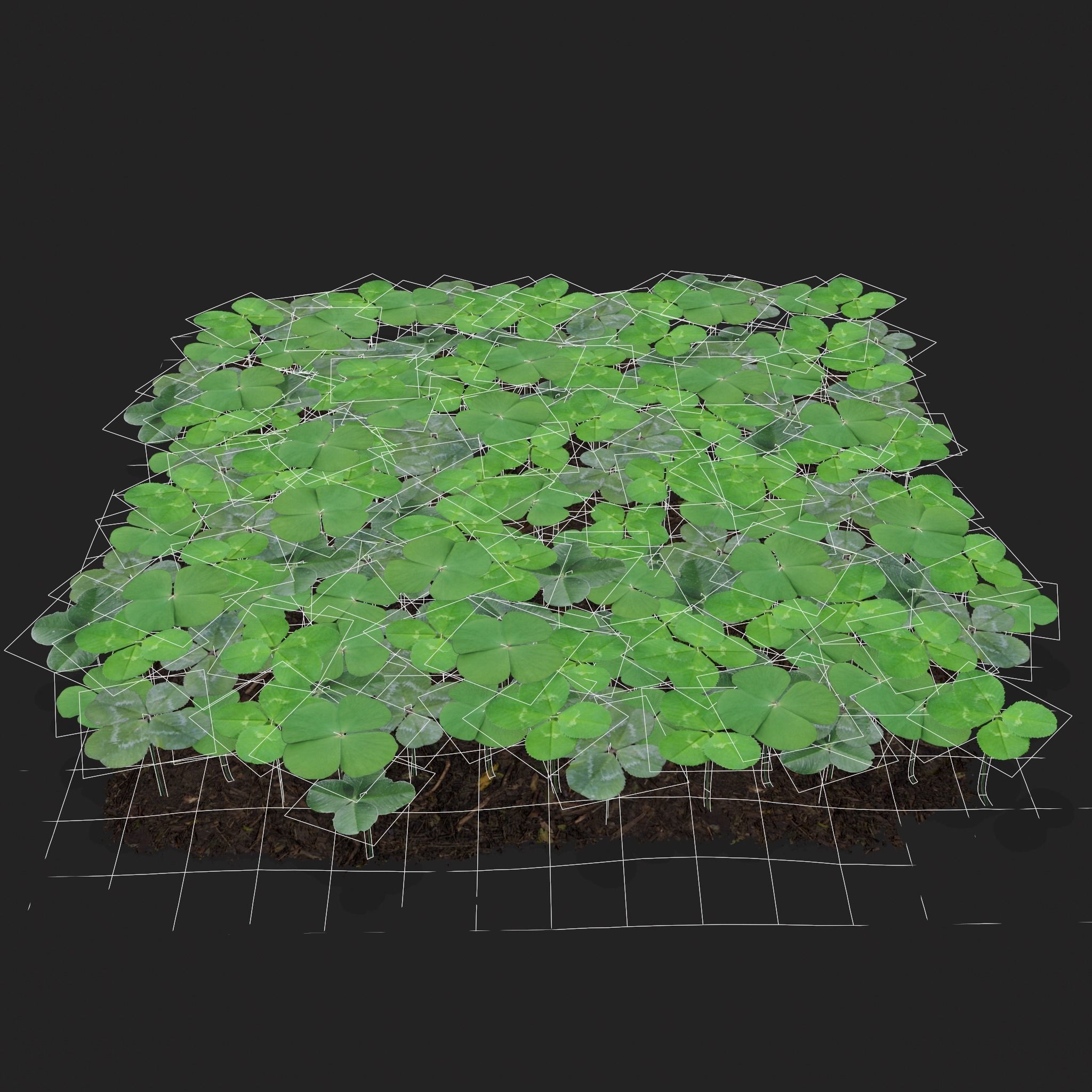 Four Leaf Clover Patch Low-poly 3D model_20