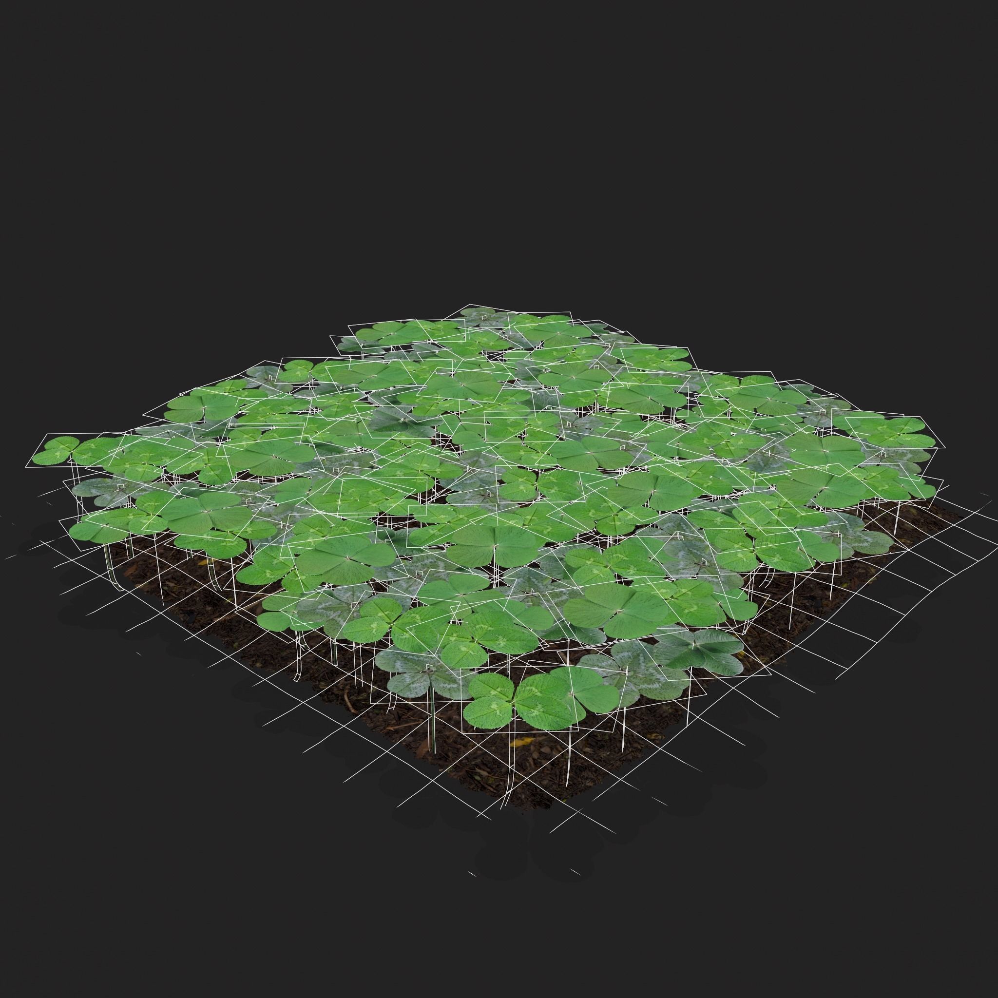 Four Leaf Clover Patch Low-poly 3D model_4