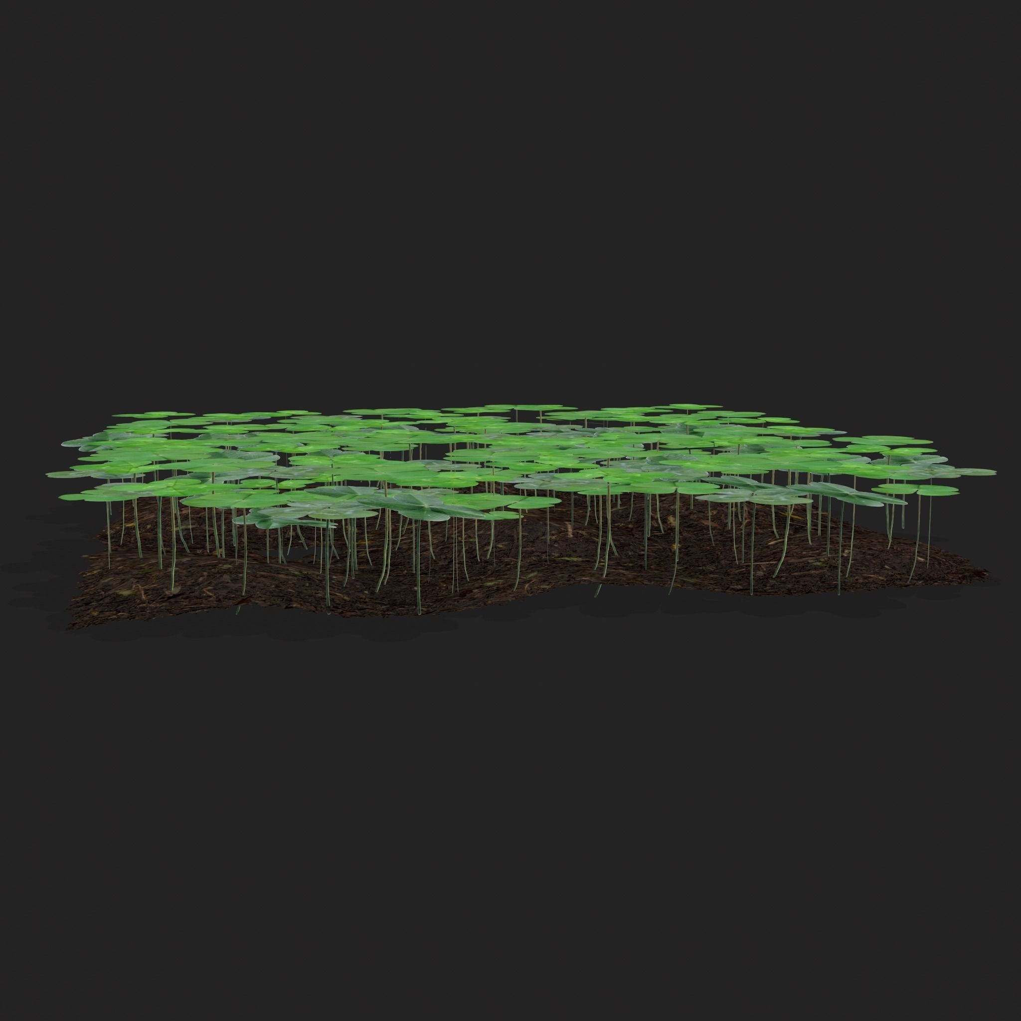 Four Leaf Clover Patch Low-poly 3D model_15