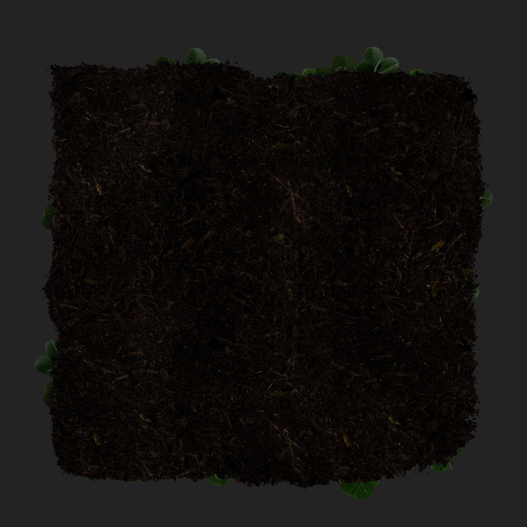 Four Leaf Clover Patch Low-poly 3D model_13