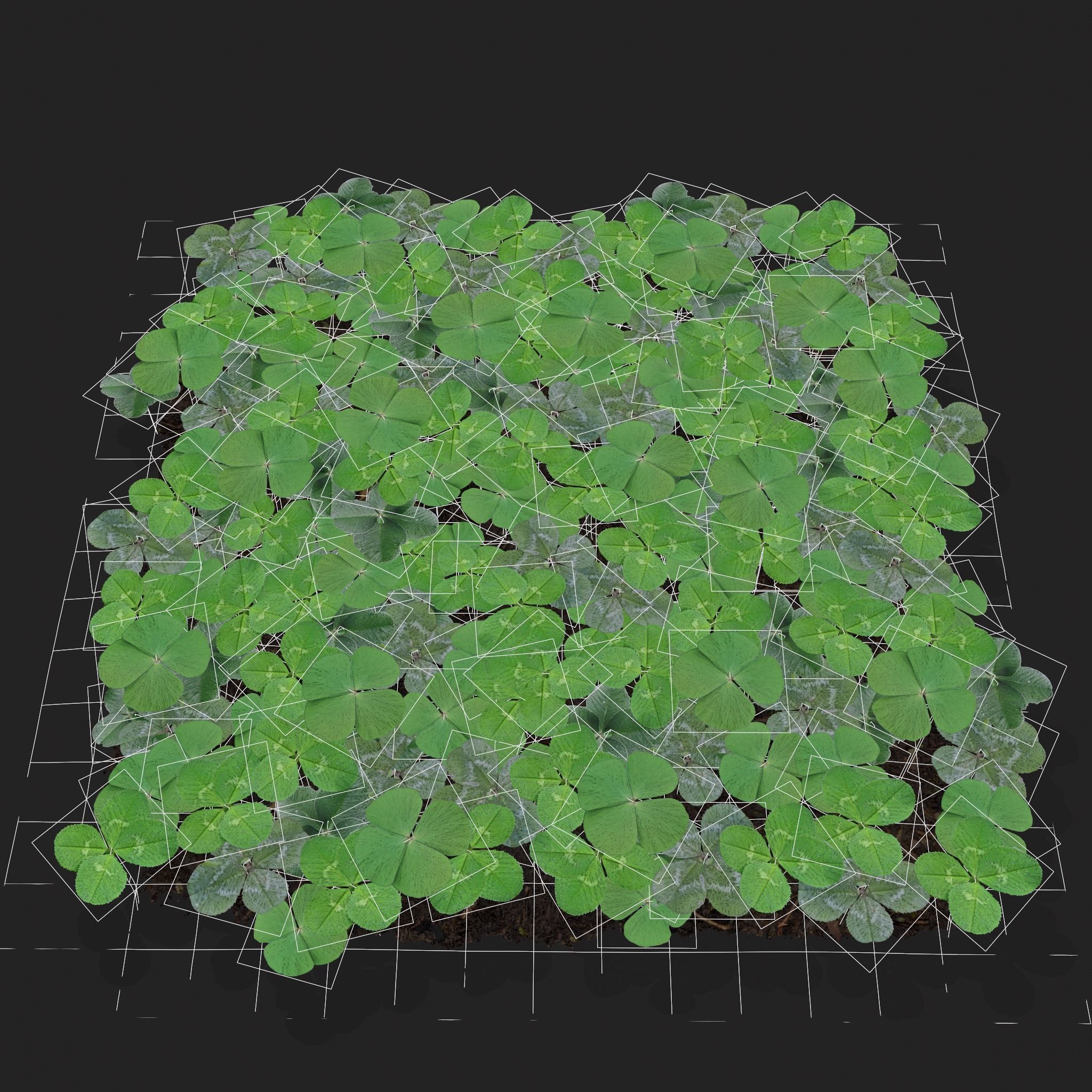 Four Leaf Clover Patch Low-poly 3D model_2