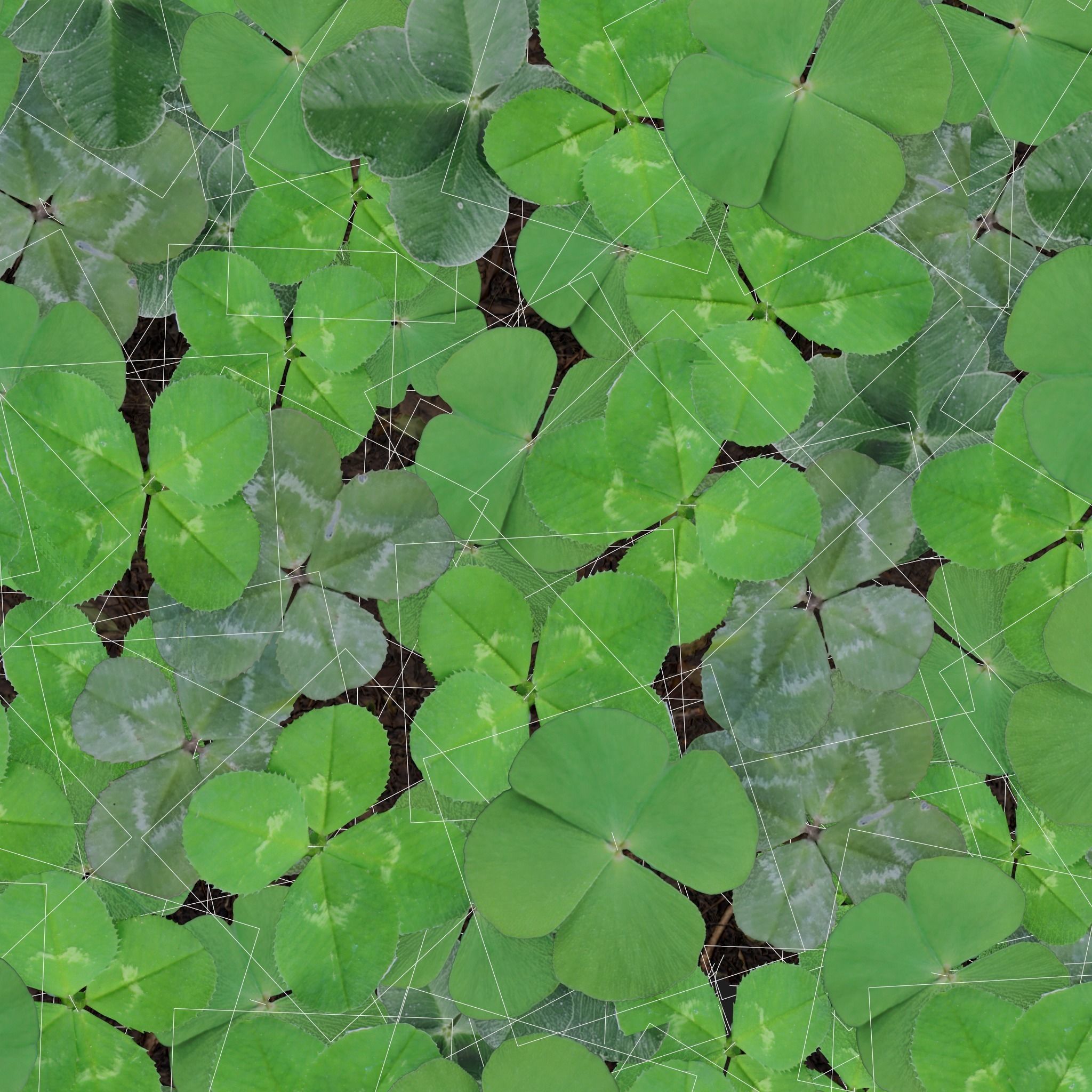 Four Leaf Clover Patch Low-poly 3D model_12