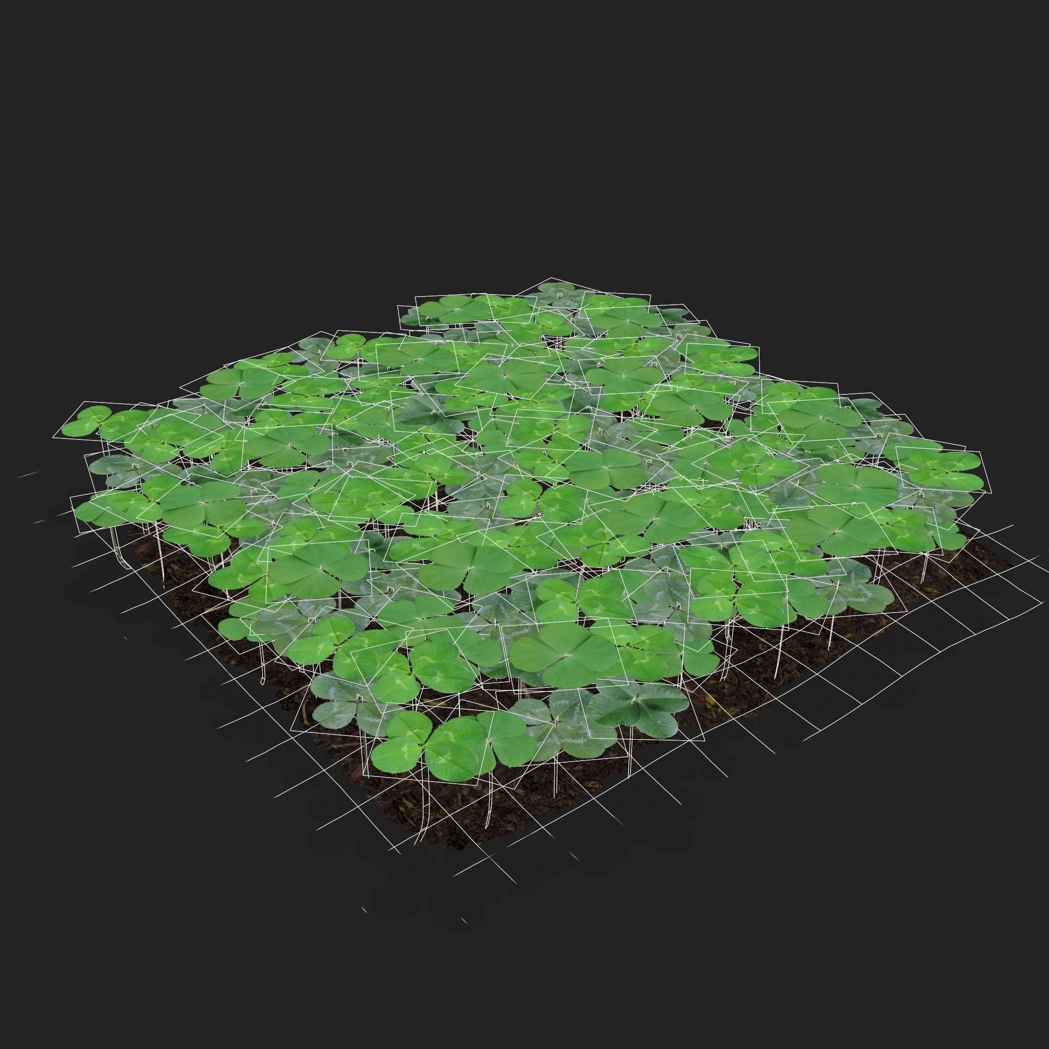 Four Leaf Clover Patch Low-poly 3D model_10