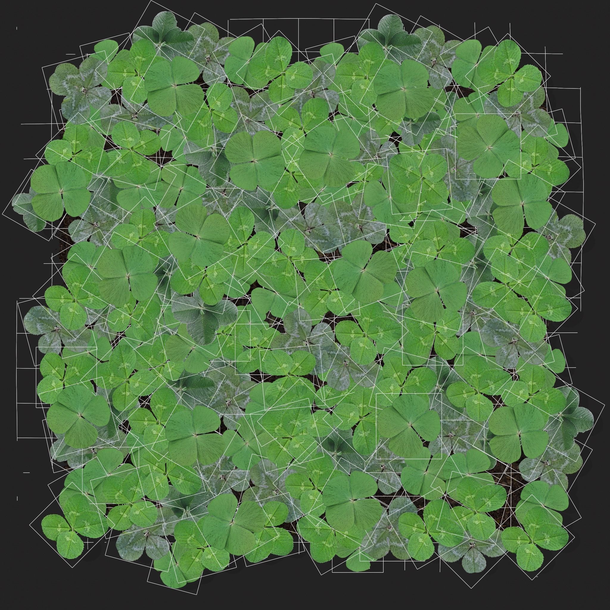 Four Leaf Clover Patch Low-poly 3D model_6