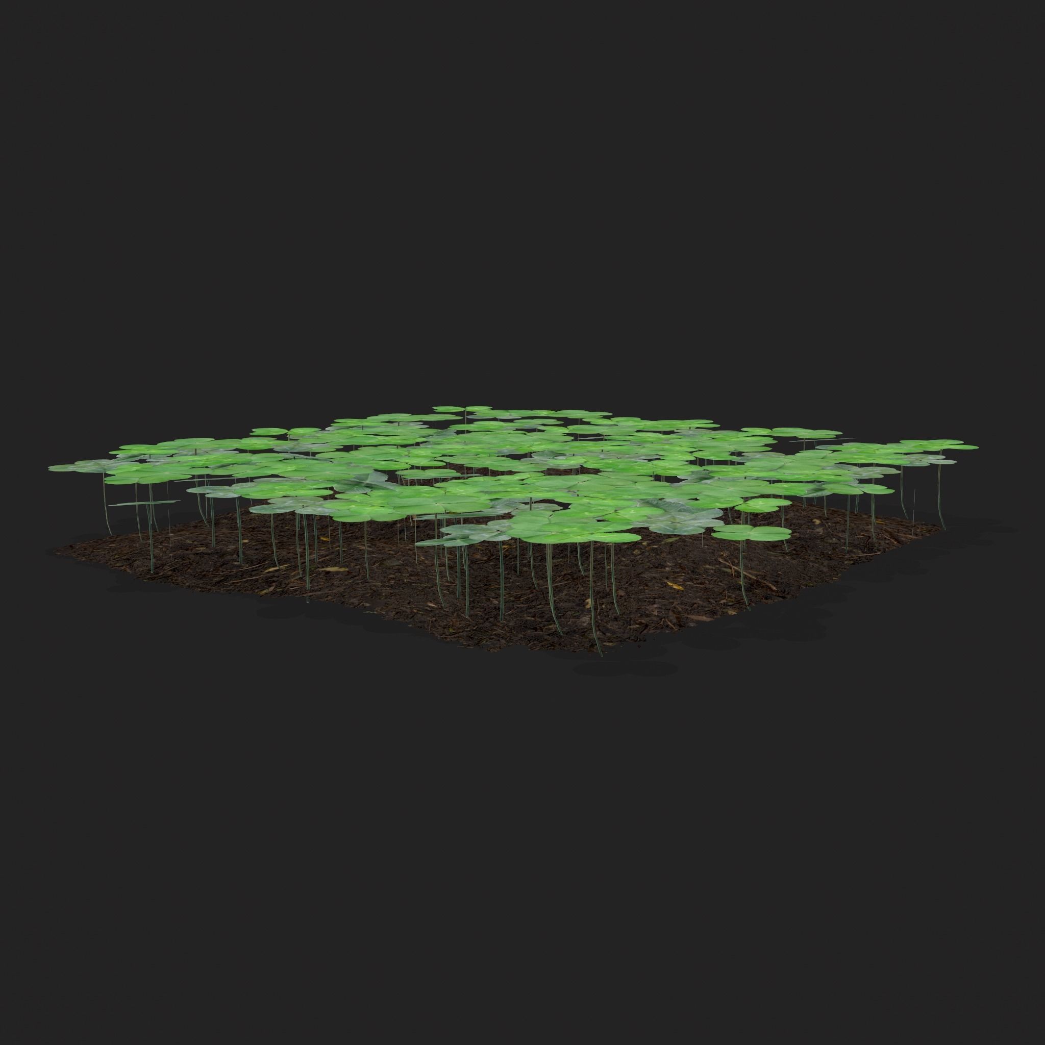Four Leaf Clover Patch Low-poly 3D model_7