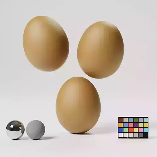 Chicken Egg Low-poly 3D model Chicken Egg Low-poly 3D model