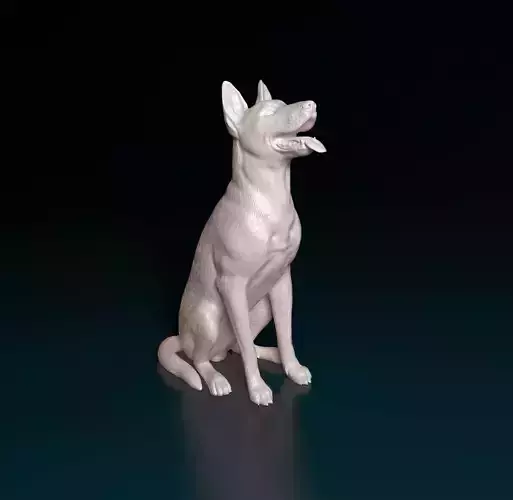 Malinois dog 3D print model