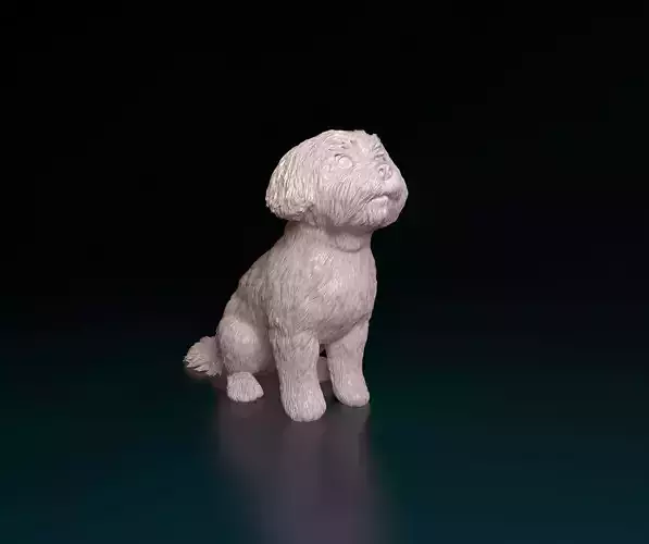 Maltese dog 3D print model