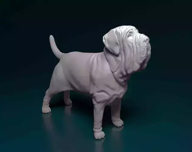 Mastino Napolitano 3D print model