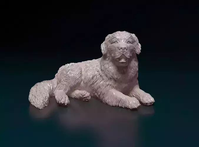 Newfoundland dog 3D print model