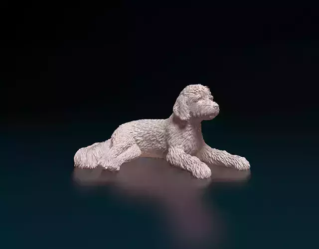 Old English Sheepdog