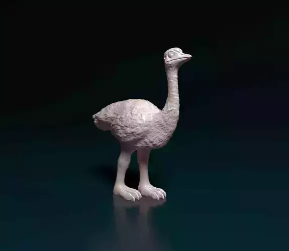 Ostrich