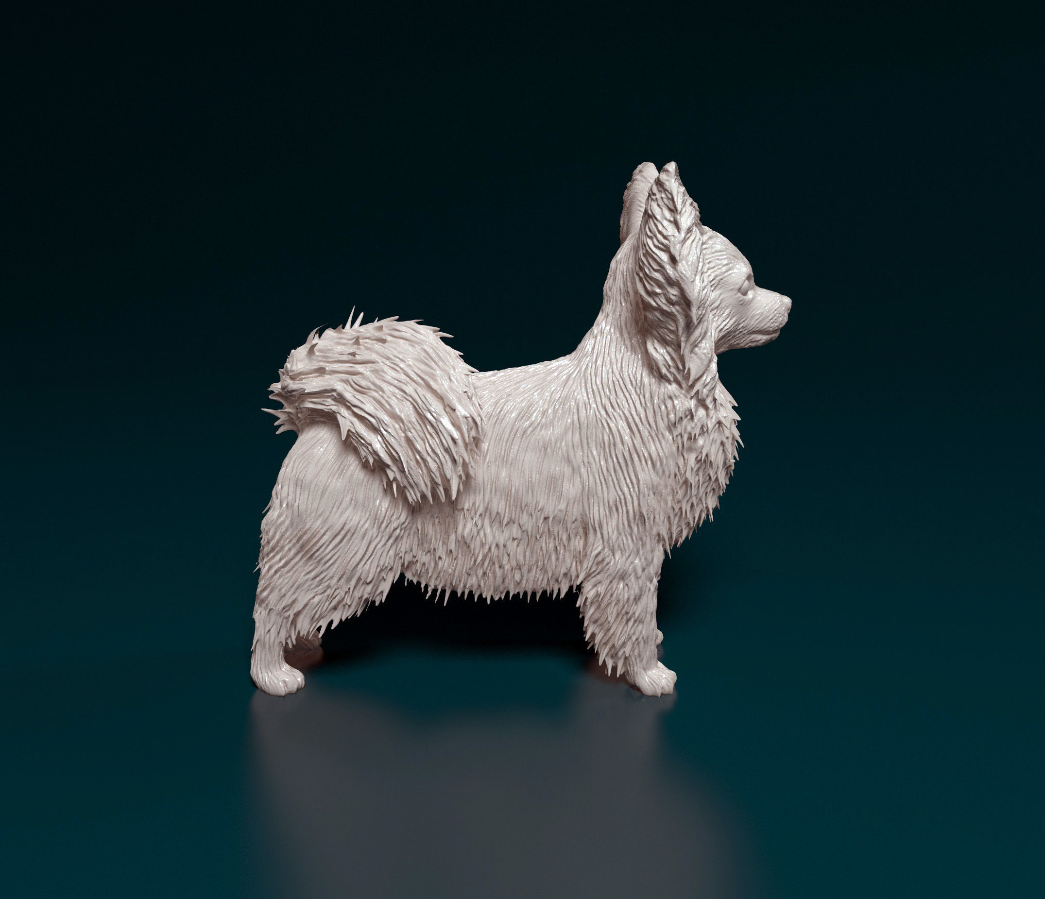 Papillon dog 3D print model_1