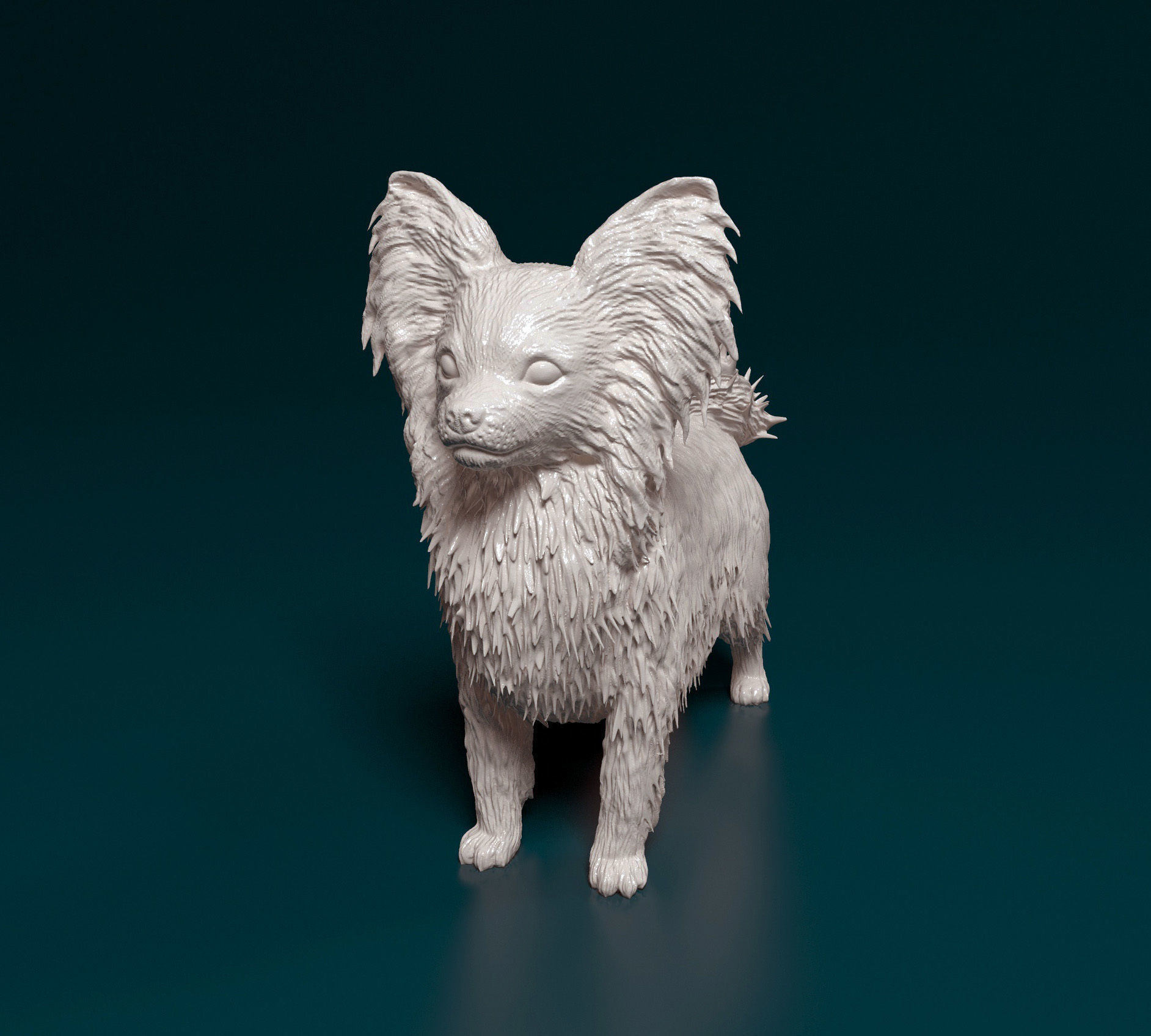 Papillon dog 3D print model_5