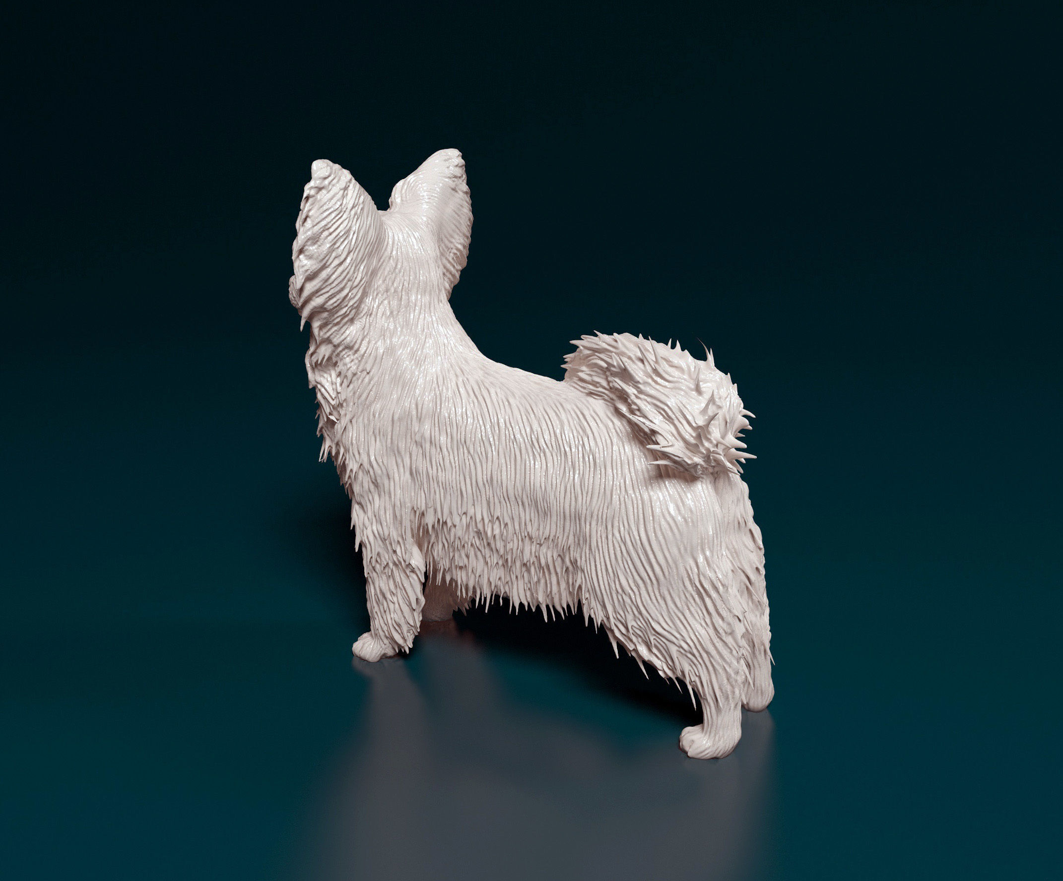 Papillon dog 3D print model_3