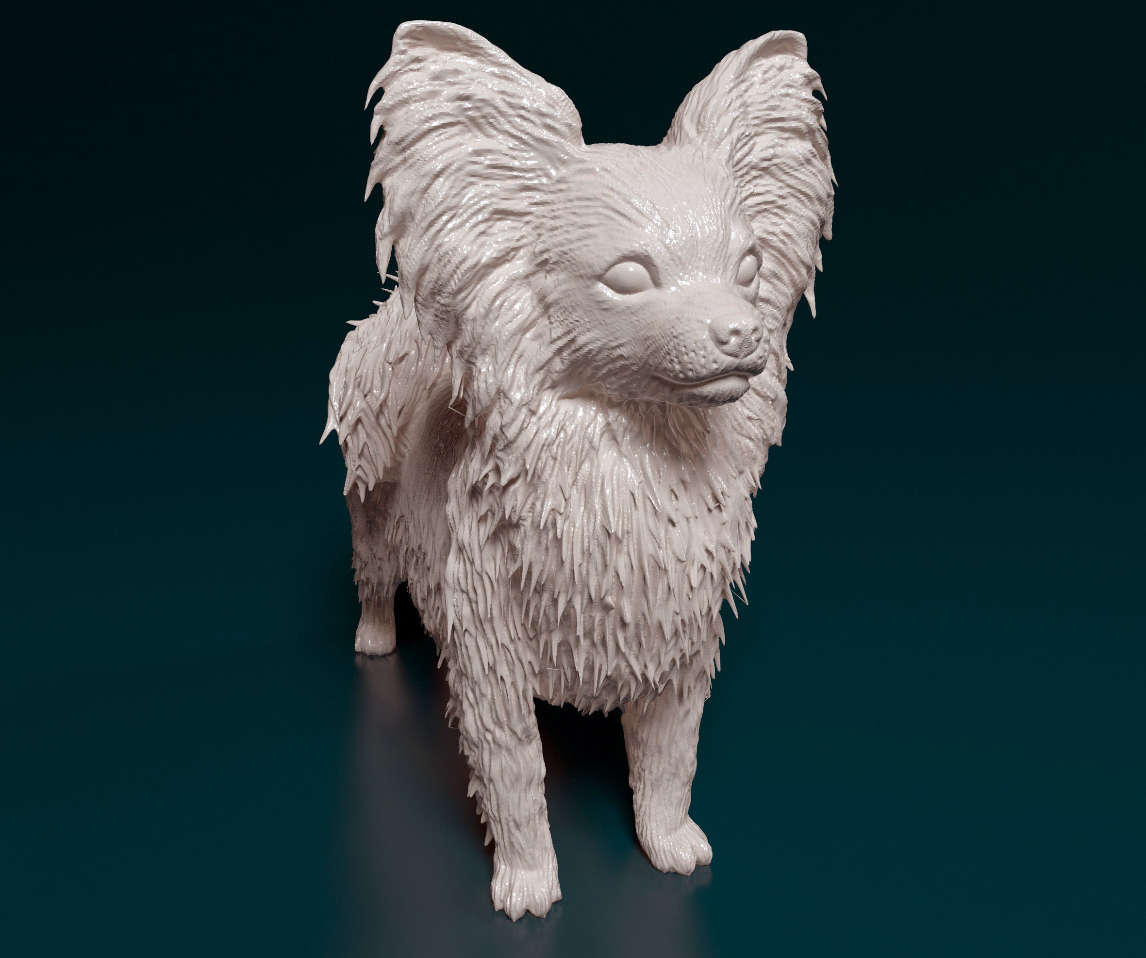 Papillon dog 3D print model_6