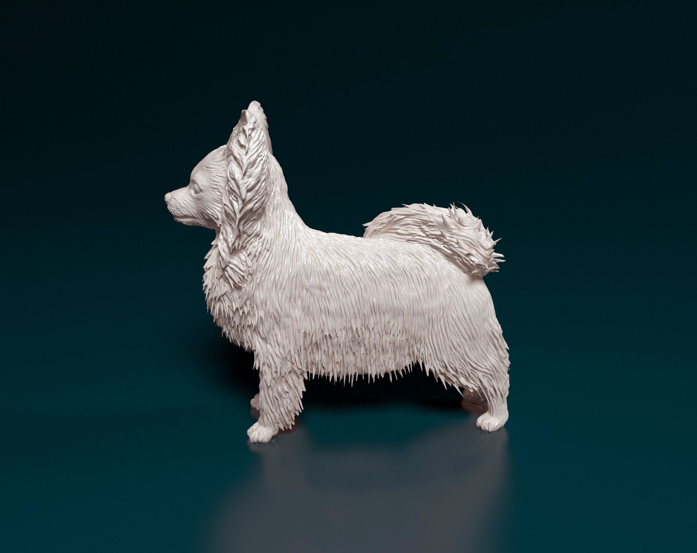 Papillon dog 3D print model_4