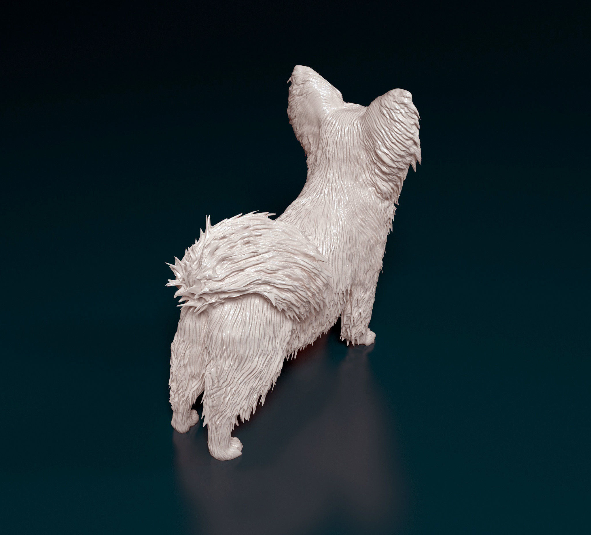 Papillon dog 3D print model_2