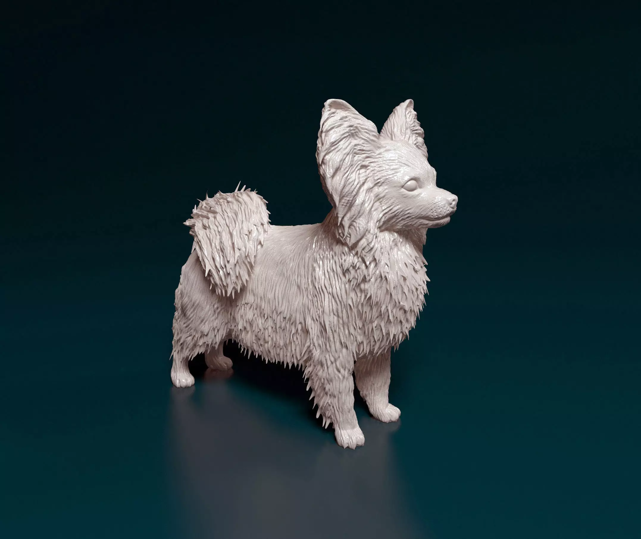 Papillon dog 3D print model_0