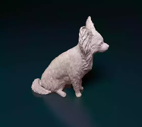 Papillon dog 3D print model