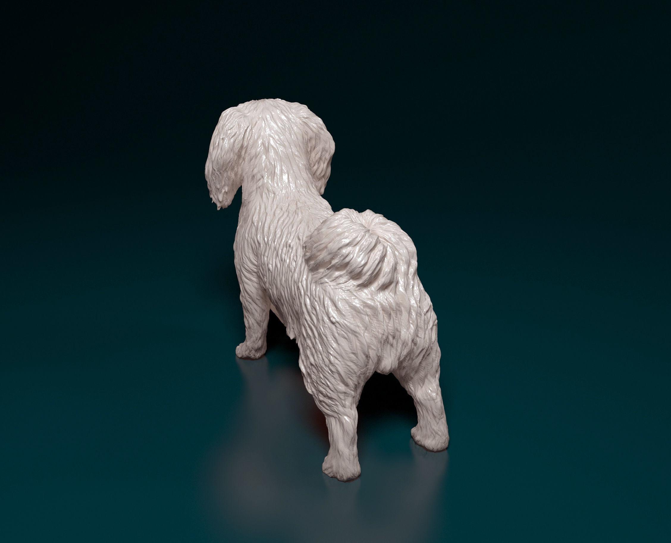Pekingese dog 3D print model_7