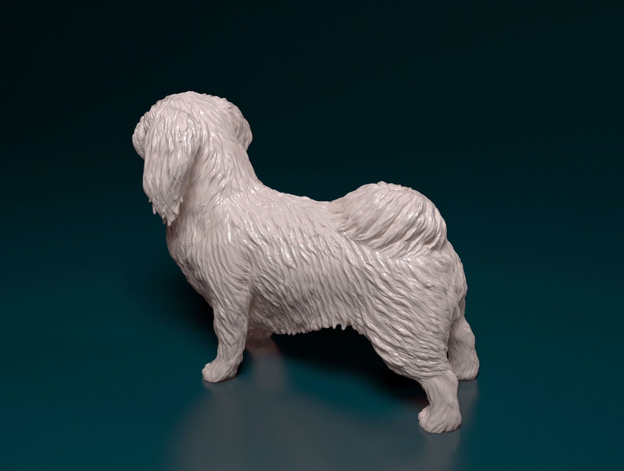Pekingese dog 3D print model_6