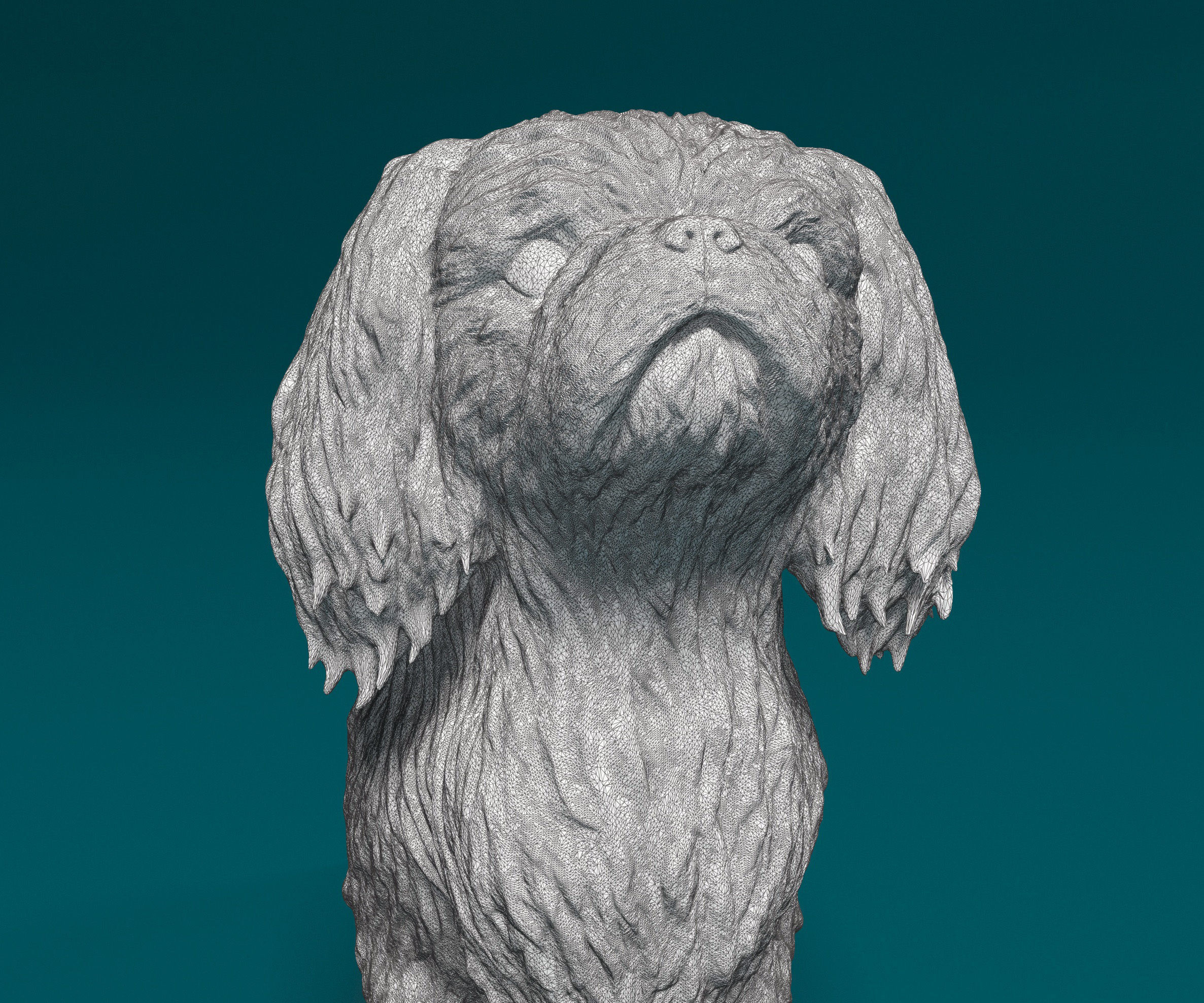 Pekingese dog 3D print model_10