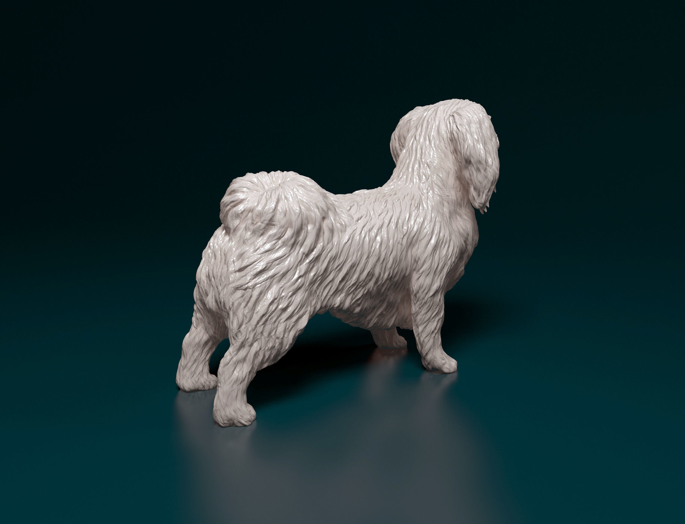 Pekingese dog 3D print model_9