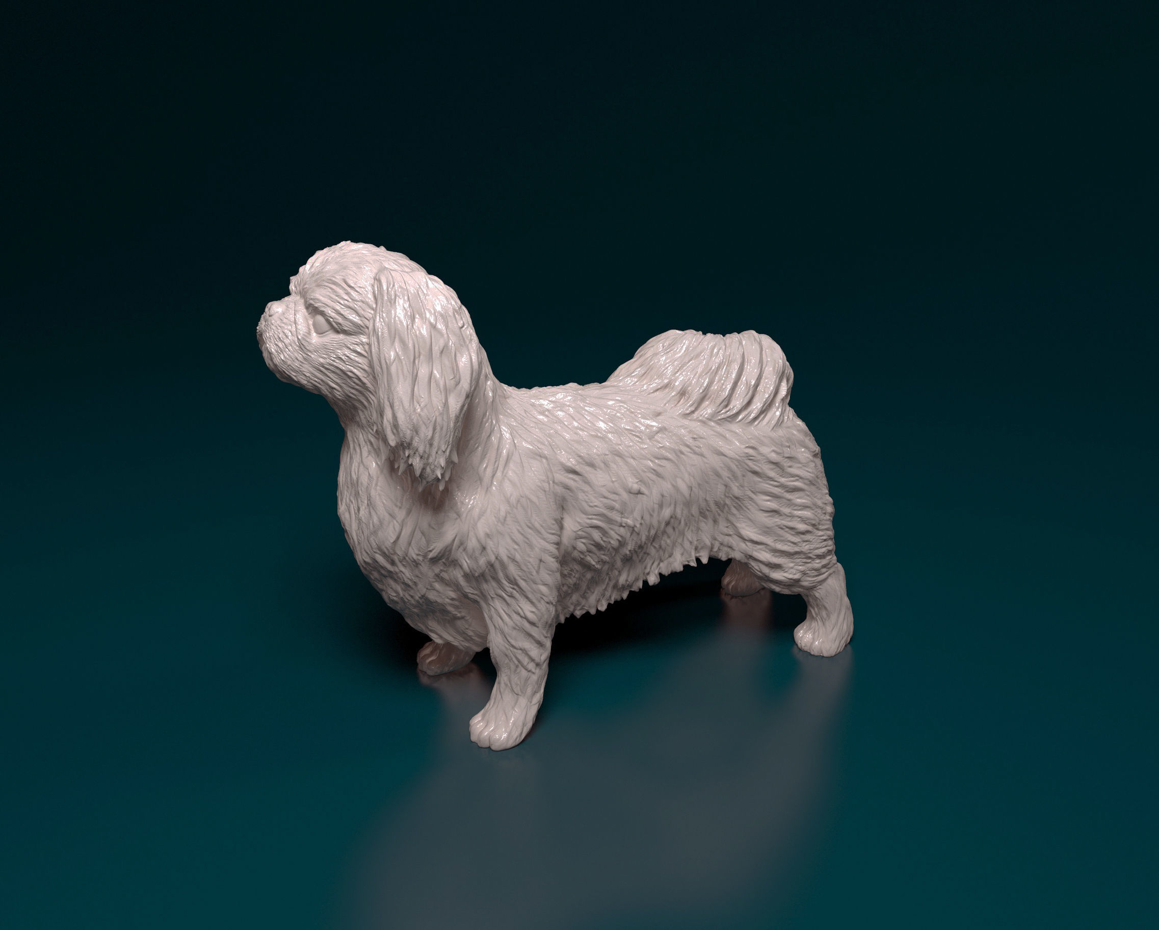 Pekingese dog 3D print model_5