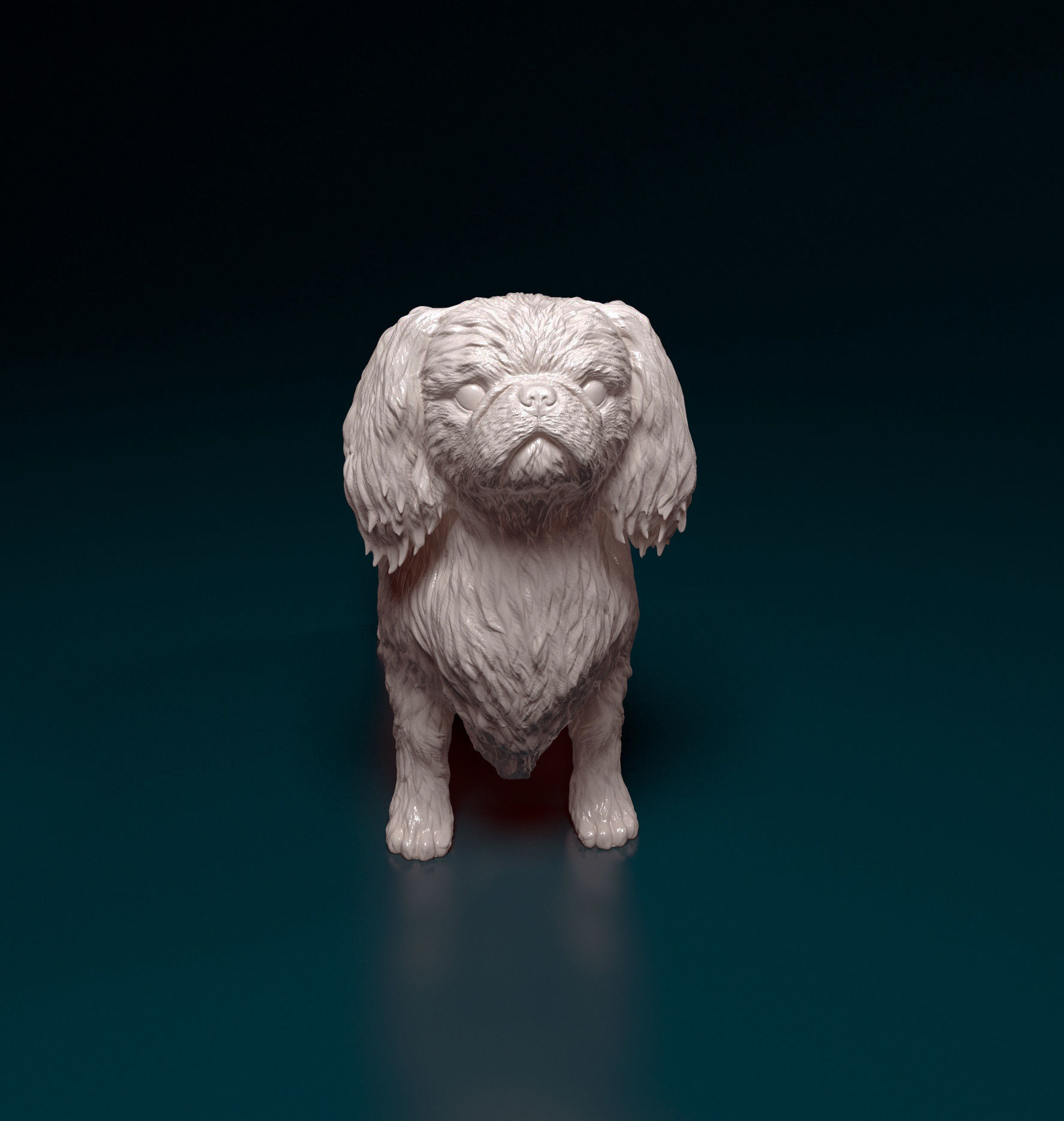 Pekingese dog 3D print model_4