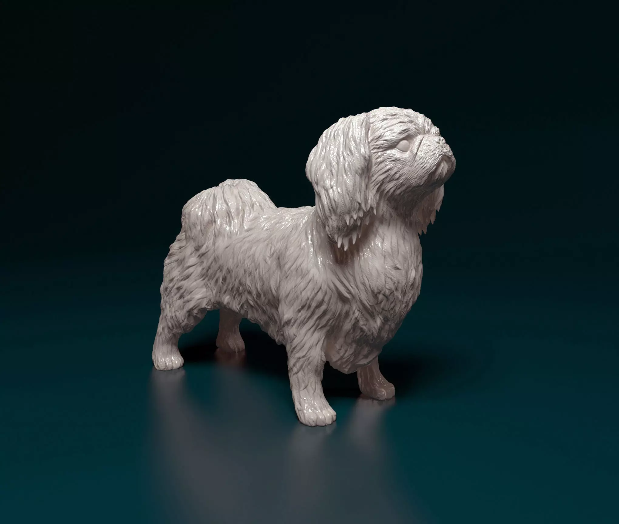 Pekingese dog 3D print model_0