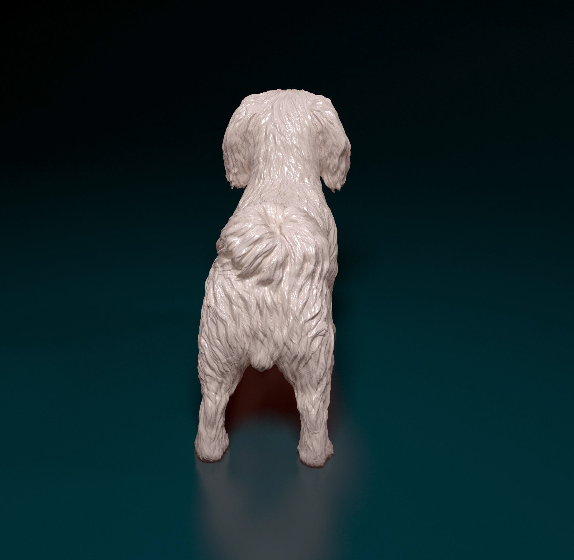 Pekingese dog 3D print model_8