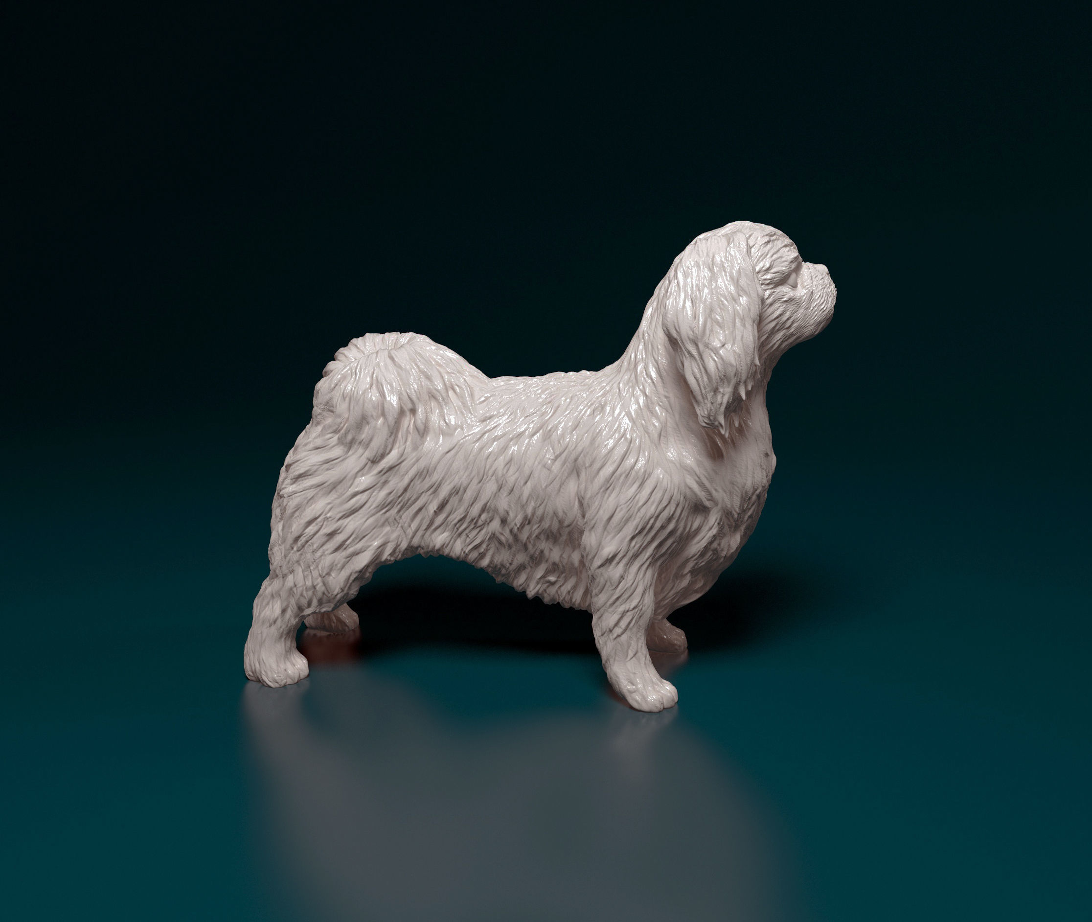 Pekingese dog 3D print model_1