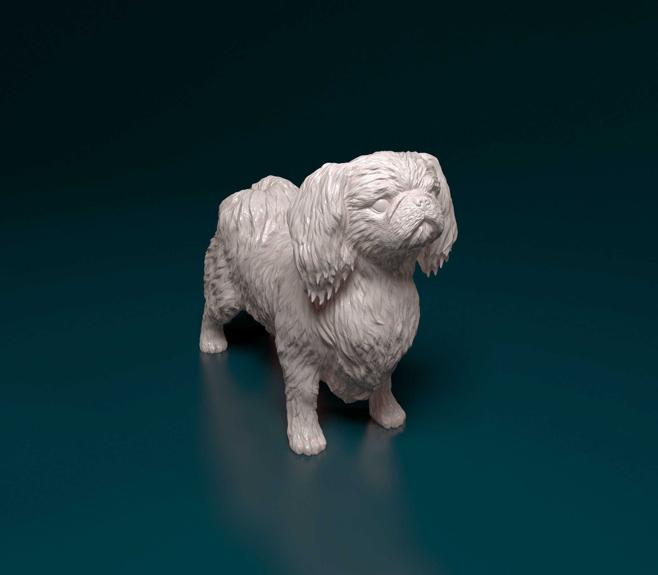 Pekingese dog 3D print model_3
