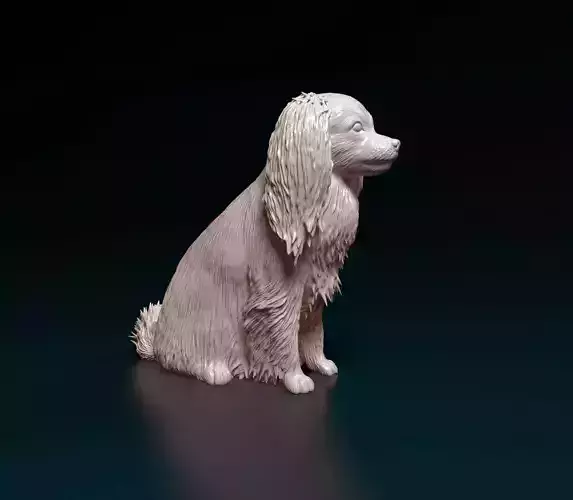 Phalene dog 3D print model