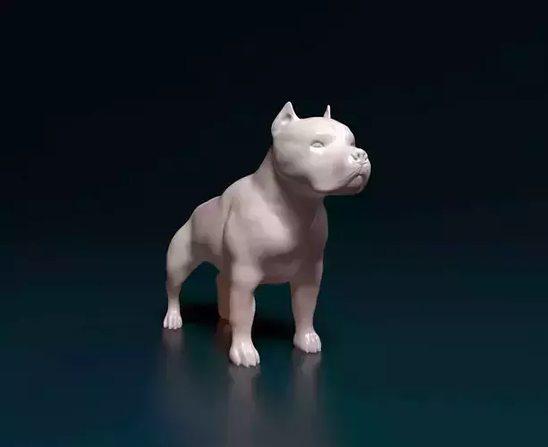 Pit bull terrier 3D print model