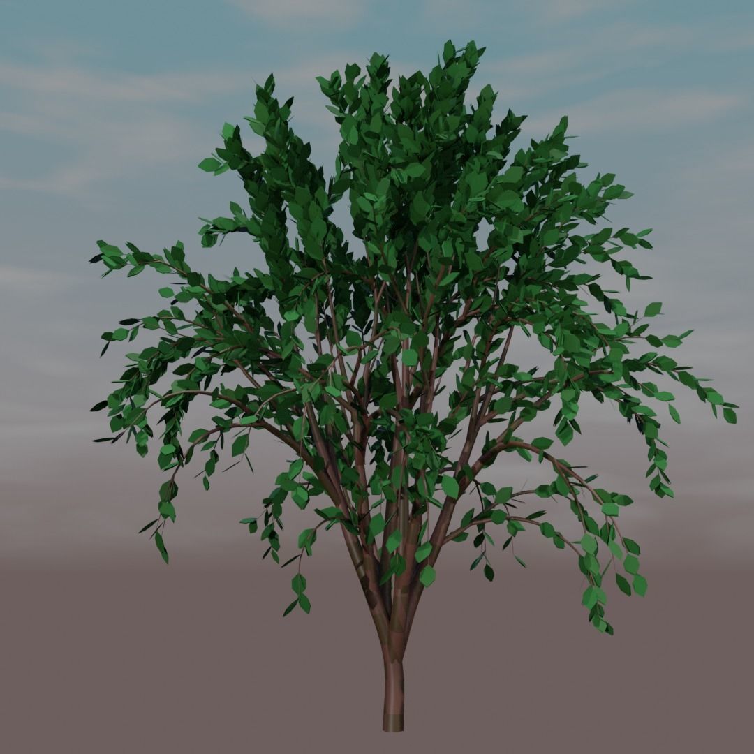 Tree for your beautiful models Free low-poly 3D model_1