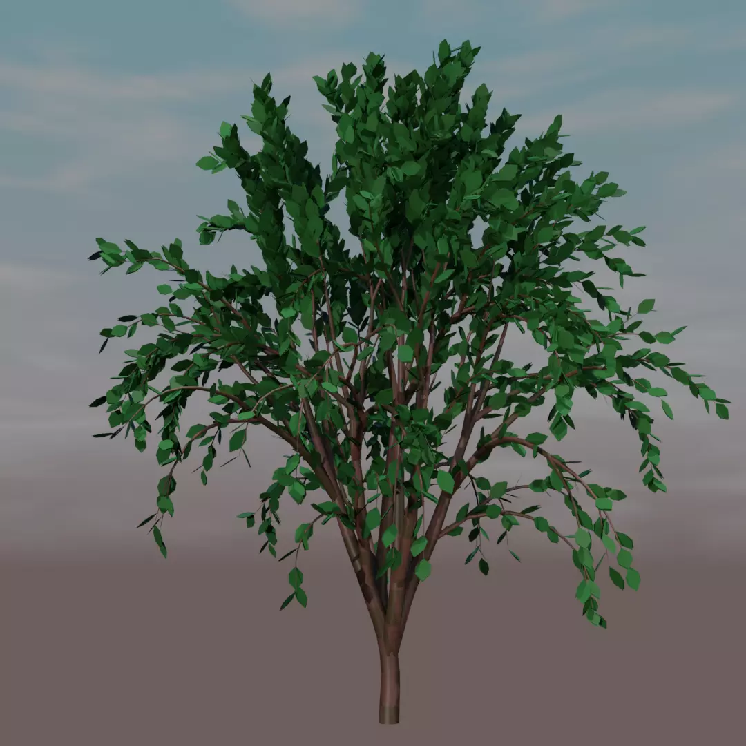 Tree for your beautiful models Free low-poly 3D model_0