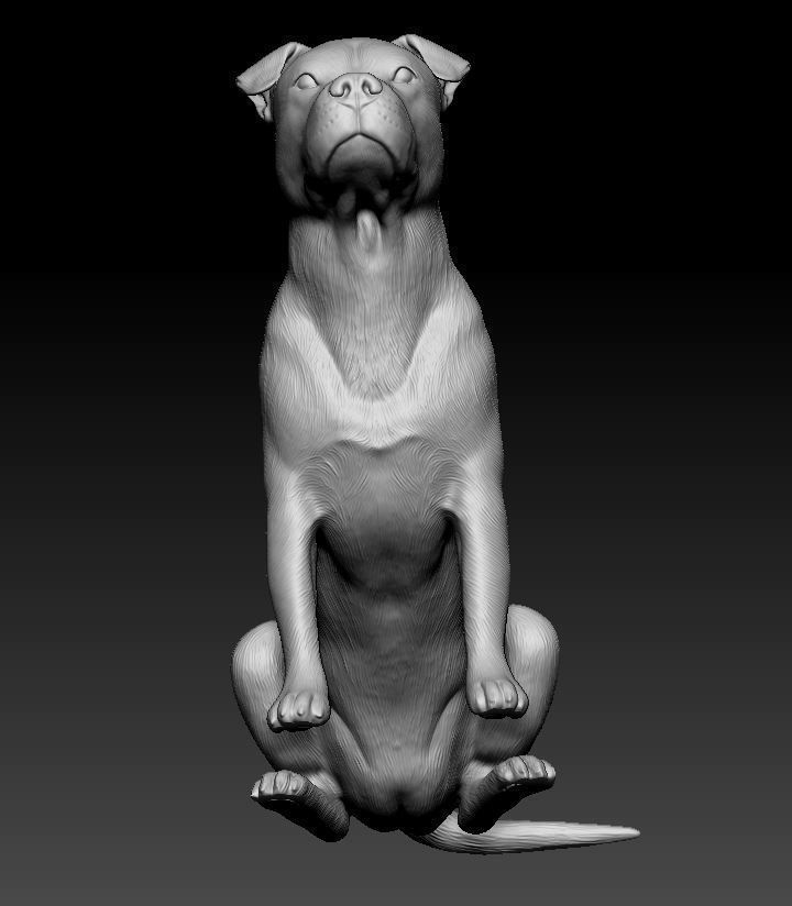 Pitbull female dog 3D print model_8