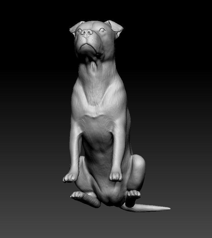 Pitbull female dog 3D print model_6