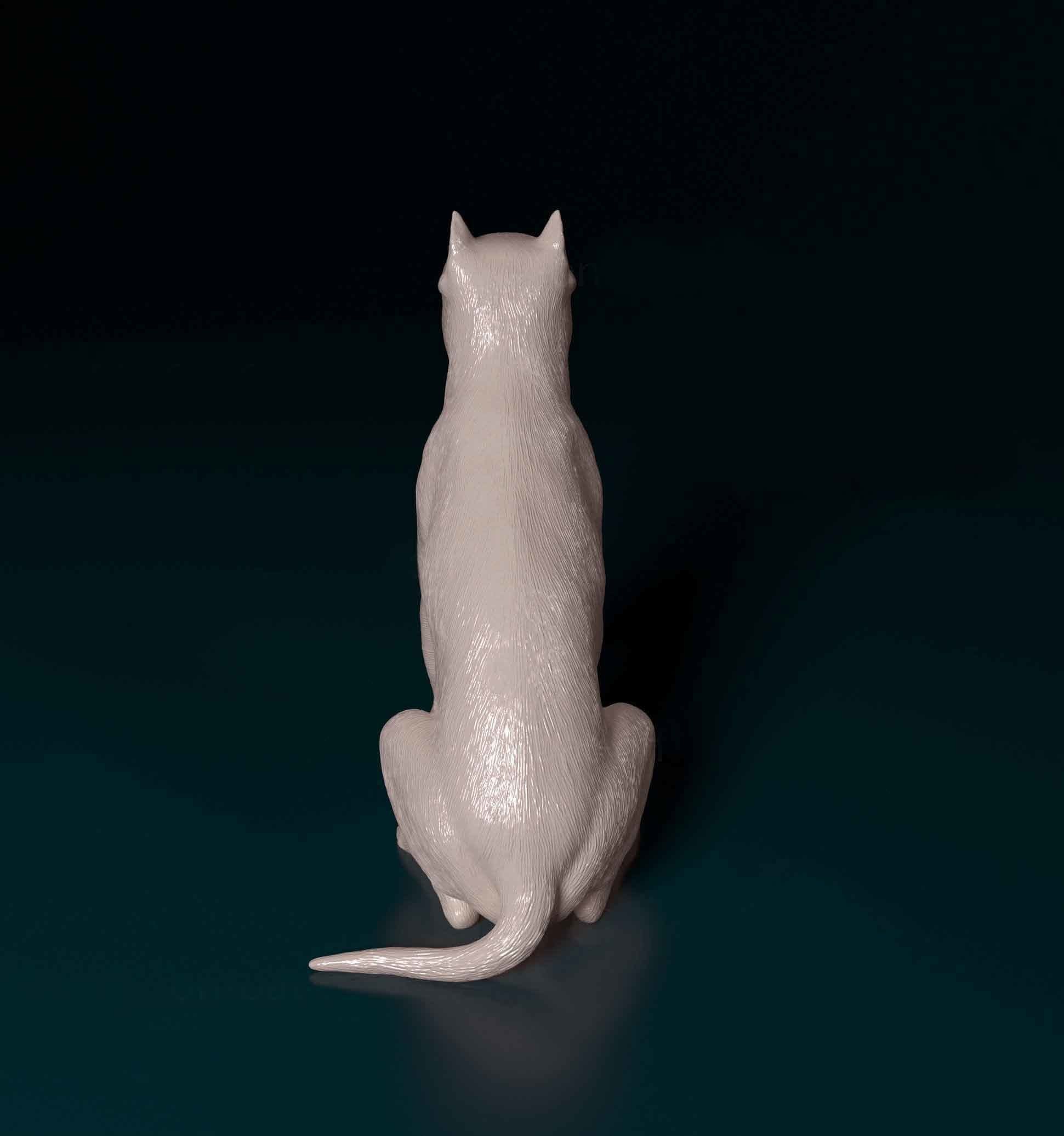 Pitbull female dog 3D print model_2